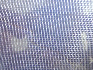 plastic insect netting insect wire mesh plastical insect wire netting