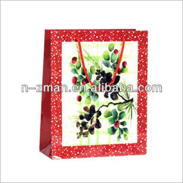 Custom Printed Paper Bag,Color Printed Shopping Bag,Color Shopping Paper Bag