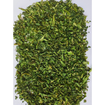 Factory Direct Dehydrated Spinach Dried Cleaned Spinach Leaves