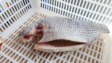 High Quality Frozen Tilapia Moon Cut