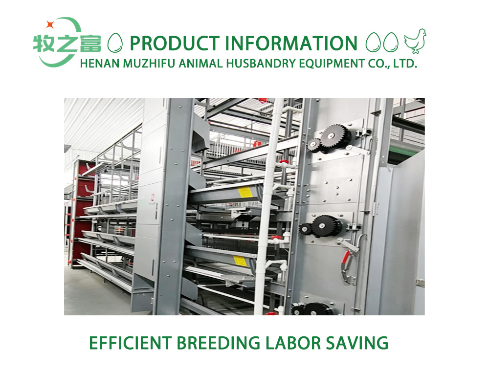 স্বয়ংক্রিয় পোল্ট্রি ফিডিং সিস্টেম এক্স Automatic Poultry Feeding System X