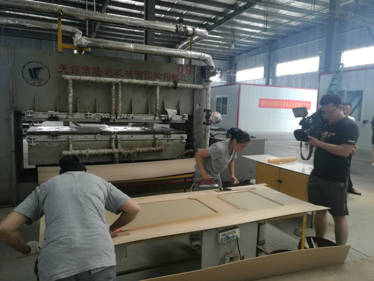 Hot sale directly factory with molded HDF molded door skin