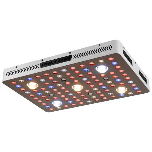 Đèn led phát triển tốt nhất với độ phủ cao