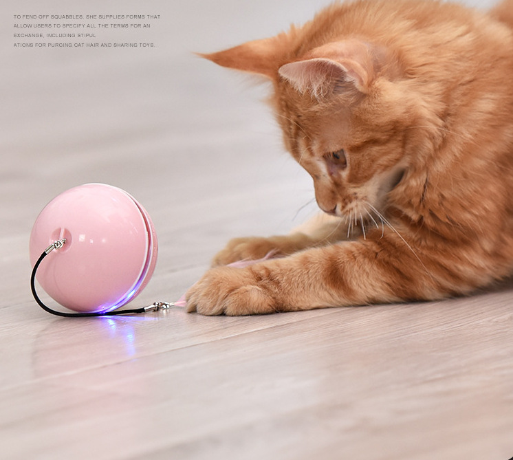 Amazon Popular Promotion USB Charging 360 Degree Auto-rotating Cat Toy Ball Interactive Smart Pet Supplies