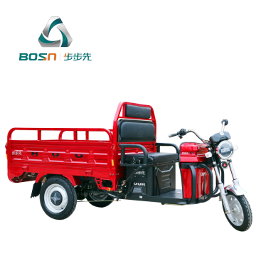 2500w 3 roda Becak Listrik Kecepatan Tinggi