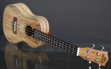 23 inch deadwood ukulele
