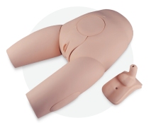 Gender Exchangeable Catheterization Model
