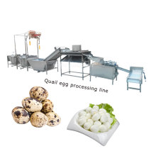 Commercial Pigeon Quail Egg Peeling and Shelling Machine