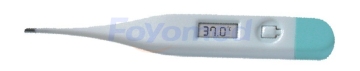 Digital Thermometers