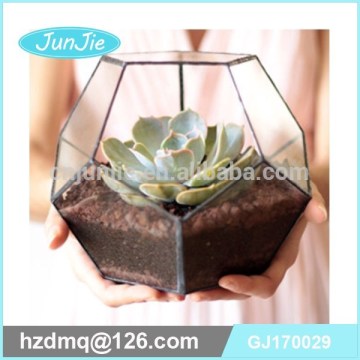 Gift glass and brass box Glass diamond shaped terrariums