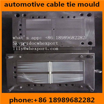 nylon cable tie injection mould,cable tie molds ,cable tie moulds