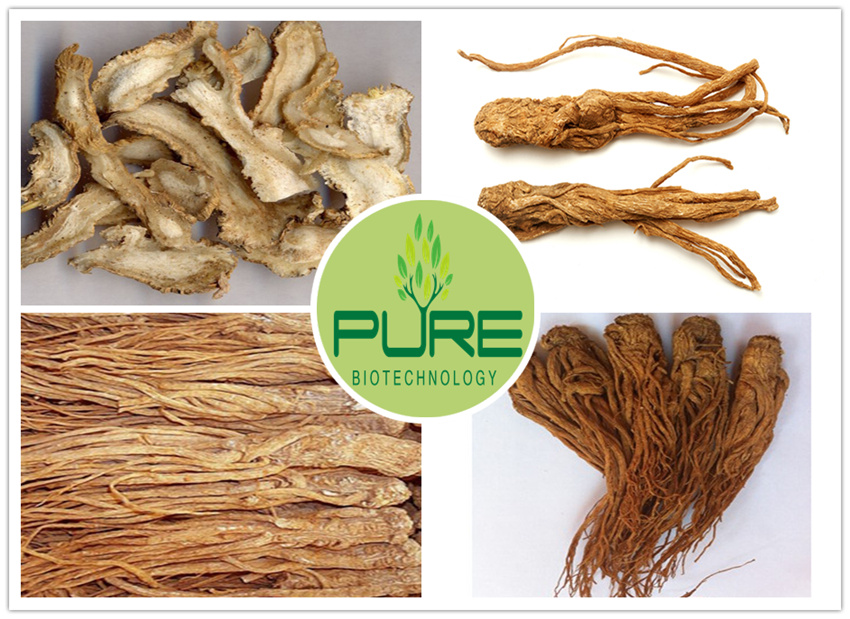 Radice di alta qualità Radix Angelica Sinensis (4) High Quality Radix Angelica Sinensis Whole Roots (4)