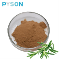 Rosemary extract 10% HPLC