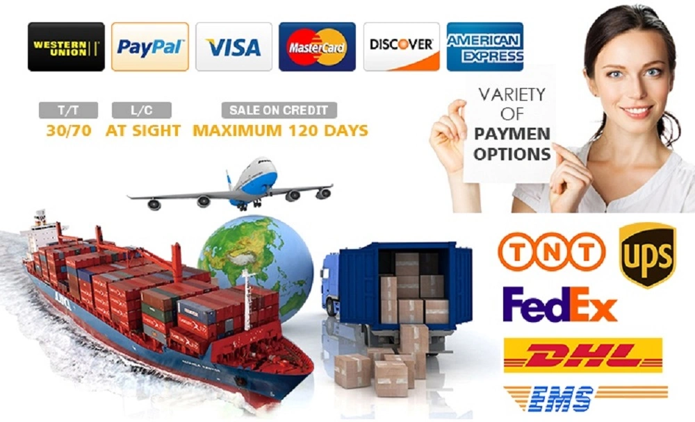 Dogecoin Miner Goldshell Mini Doge Easy Mining Mini Doge Goldshell WiFi Mini Doge 185m Miner