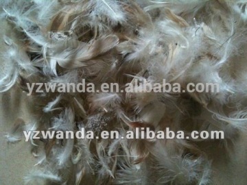 New grey washed 2-4cm duck feathers wholesale