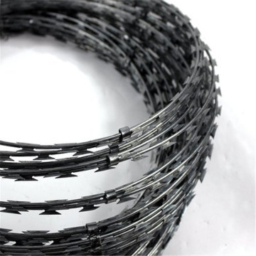 Low price hot dipped galvanized razor barbed wire