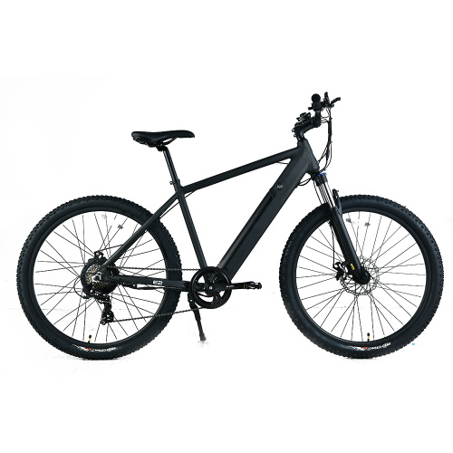 XY-SPORTSMAN ECO bestes elektrisches Mountainbike uk