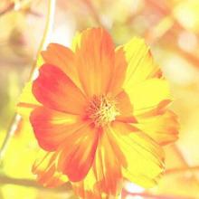 Infrared heater for warming feet, healthy, safe convent