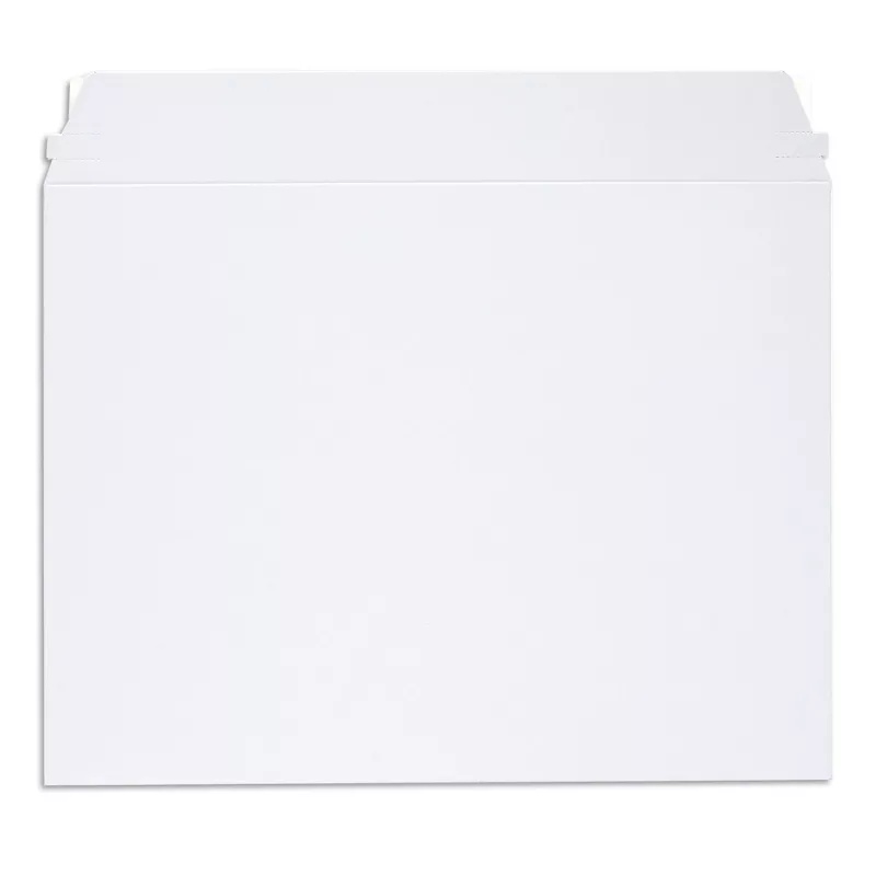 Professional Mailing Envelopes with Self-Adhesive Seals