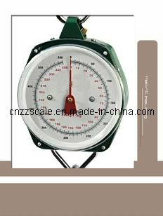 250kg/550lbs Salter Weighing Scale (ZZG-109)