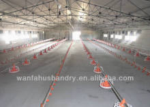 high quality chicken farm equipment poultry automatic main feeding line