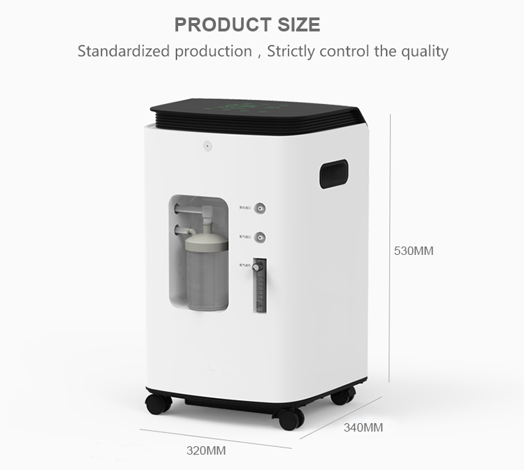 2021 Hot Sale Mini Support Oem Oxy Easy 1 Litre 10L Portable Oxygen Concentrator Equipment