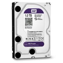 Purple HDD: 1TB to 8TB SATA 3.5" Hard Drives for CCTV