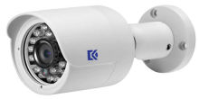Network Ip Security Cameras With 3.6mm Fixed Lend , Support Android