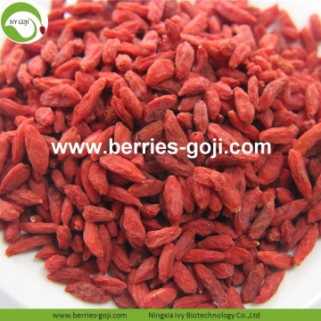 Factory Wholesale Nutrition Natural Ningxia Goji