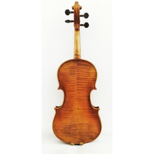 Violon Bois Avancé Europe