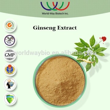 free sample UV 80% Ginsenoside,HACCP Kosher FDA free pesticide panax ginseng extract,ginseng extract 80%