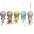 Cute Octopus Air Plant Hanger Wall Planter