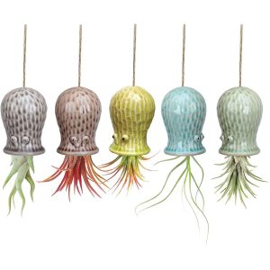 Χαριτωμένο χταπόδι Air Plant Hanger Planter