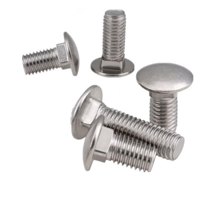 A2 A4 Stainless Steel Carriage Bolt Screw