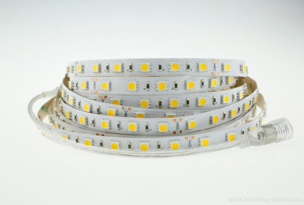 DC24V 300D white light  SMD 5050 LED Strip