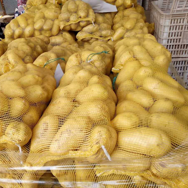 China fresh potato hot sale yellow potato export price