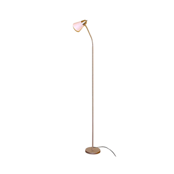 Silver LED eye-caring floor lamp