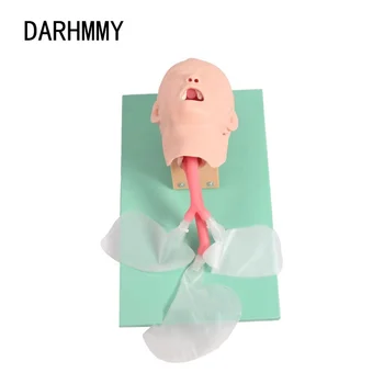 Darhmmy Advanced Child Trachea Intubation Model For Medical Teaching ...