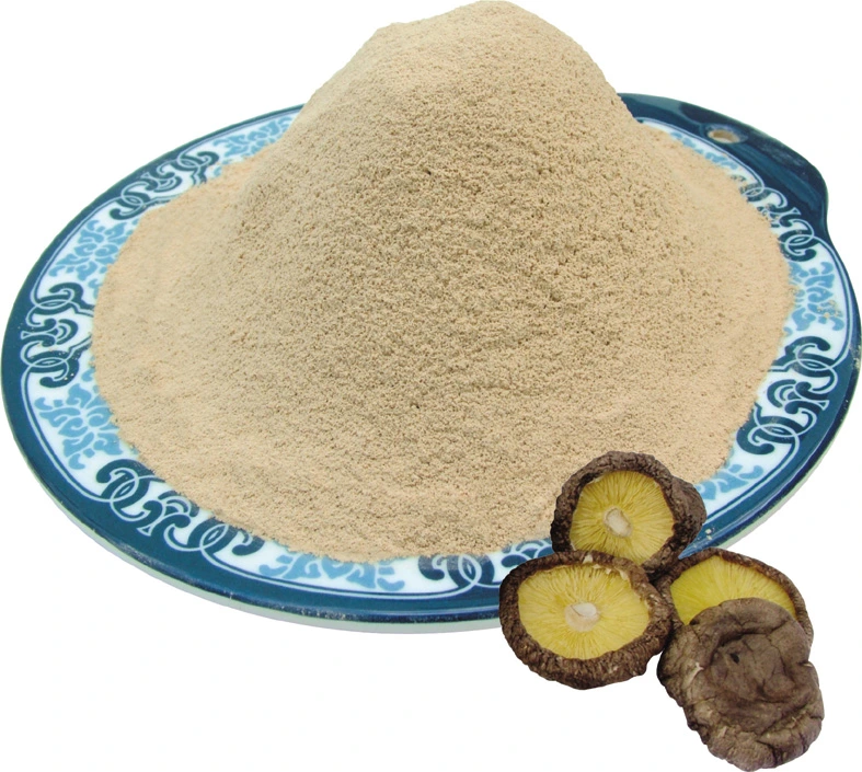 Dried Shiitake Mushroom Powder Extract