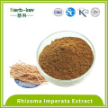 Brown yellow Rhizoma Imperata Extract 4:1