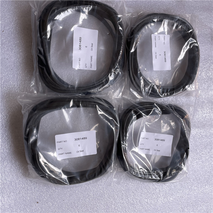 3081489 Liner Oil Seal 3081489 Liner Oil Seal