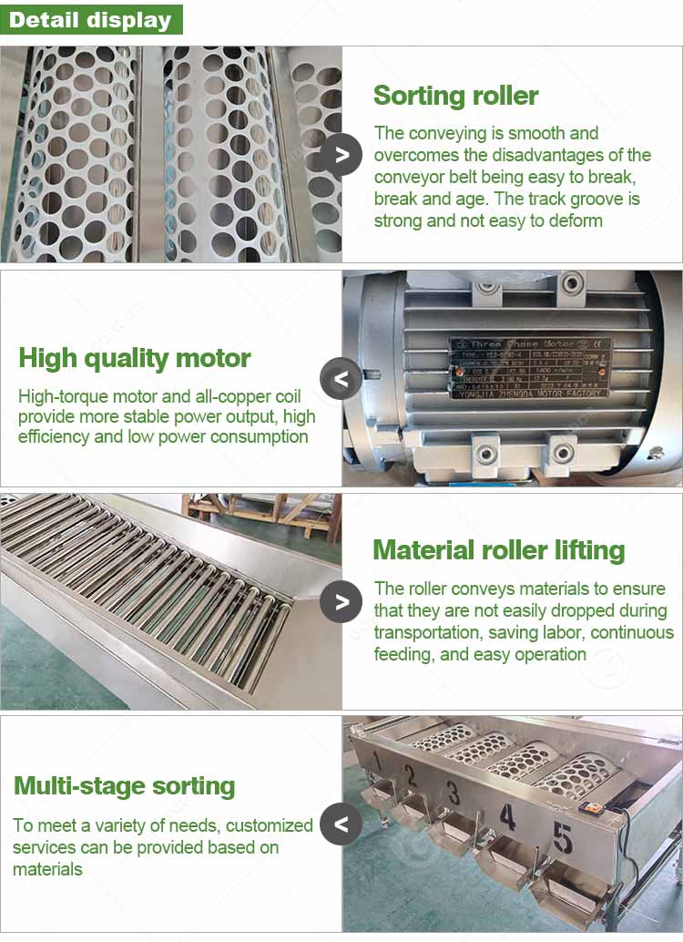 Mango Date Automatic Cherry Vegetable Fruit Olive Garlic Size Grading Sorting Machine for Fruit and Table