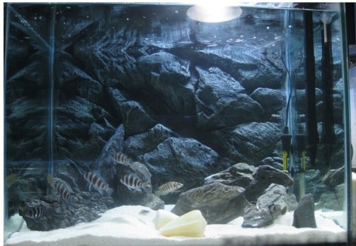 PU aquarium background,resin aquarium background