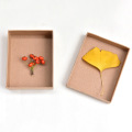 Custom Kraft Paper Jewelry Box With Foam Insert