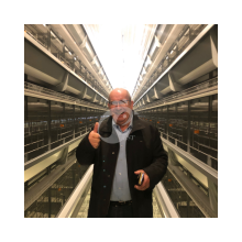 H Type Broiler Cage with Manure Belt for Efficient Broiler Chicken Farming