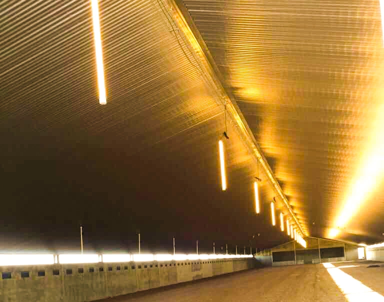 Double V-Shape Design Poultry Light for Broiler