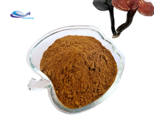 Top quality Sunflower extract sunflower seed extract flower