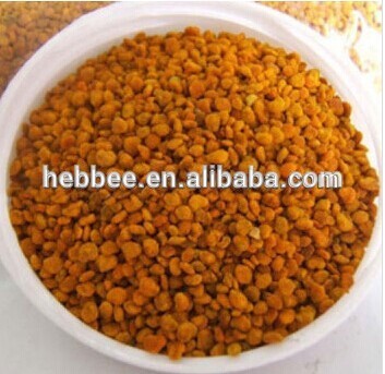 Hot sale cheap bee pollen for bees