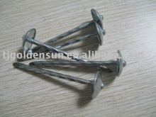 UMBRELLA HEAD ROOFING NAILS