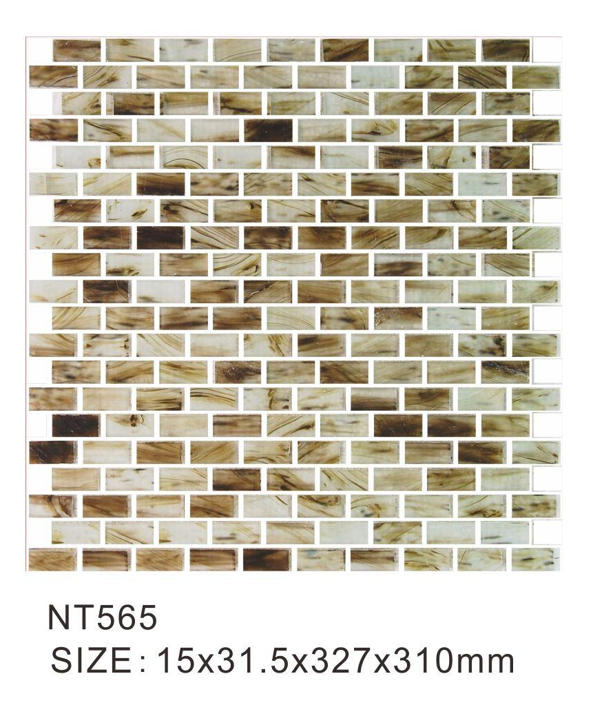 Nt565 Nt565